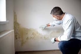 Best Commercial Mold Inspection  in River Ridge, LA